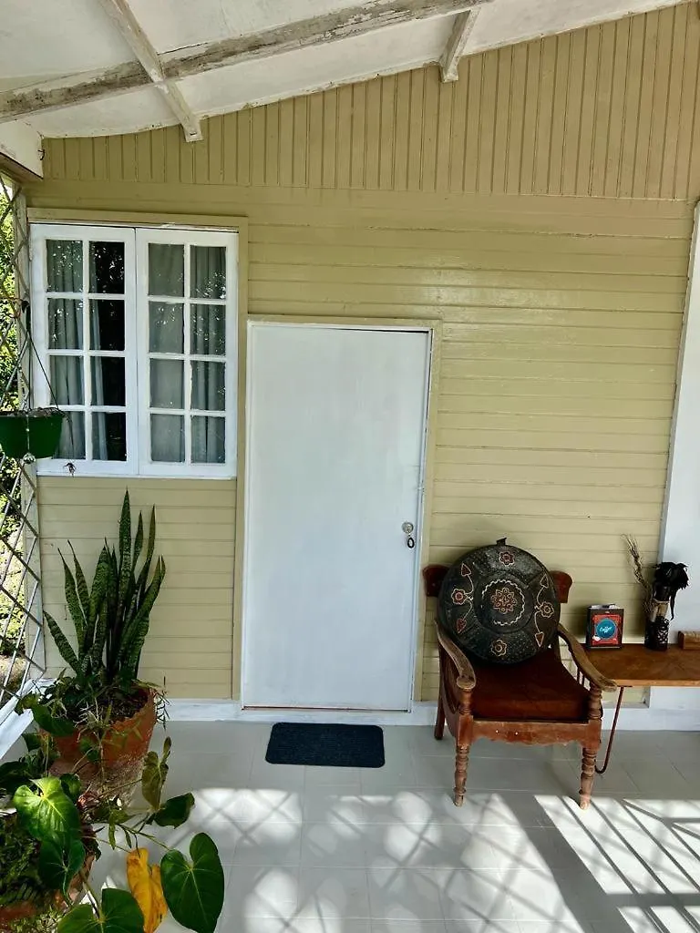 Adella'S Blue Mountain Coffee Farmstay Kingston Vakantieboerderij