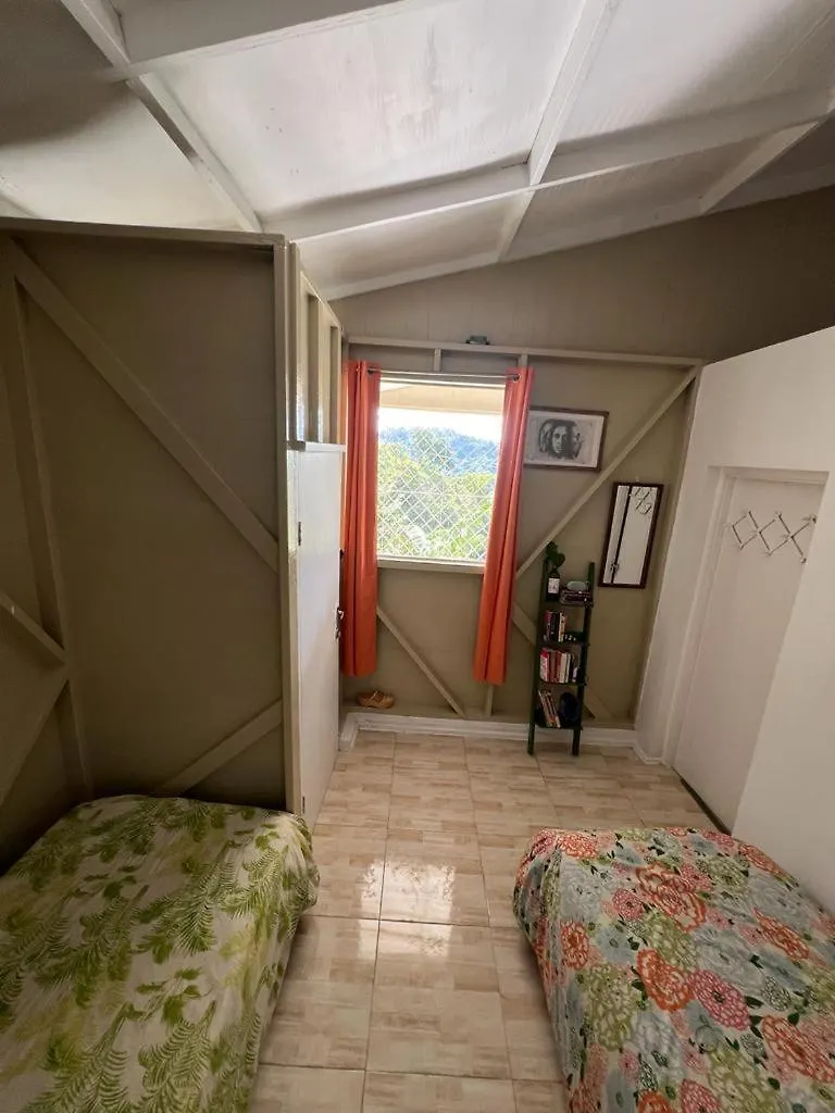 Adella'S Blue Mountain Coffee Farmstay Kingston Vakantieboerderij
