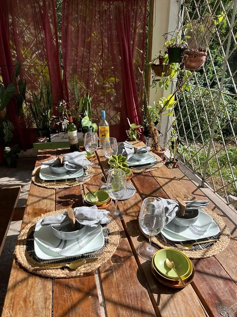 Vakantieboerderij Adella'S Blue Mountain Coffee Farmstay Kingston